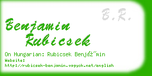 benjamin rubicsek business card